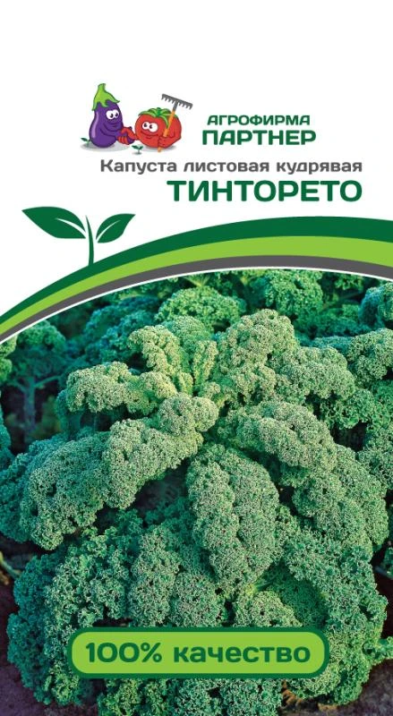 Партнер Капуста листовая кудрявая ТИНТОРЕТО ^(0,3г), изображение 0