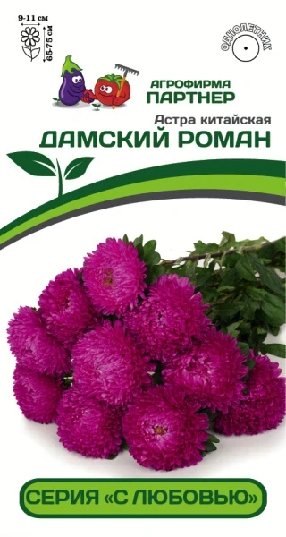 Партнер Астра китайская ДАМСКИЙ РОМАН ^(5шт в амп), изображение 0