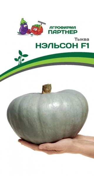 Партнер Тыква НЭЛЬСОН F1 ^(5шт), изображение 0