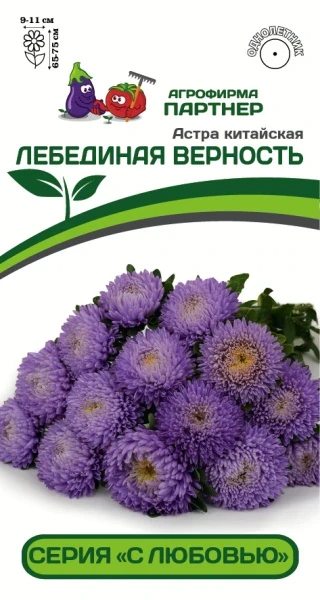 Партнер Астра китайская ЛЕБЕДИНАЯ ВЕРНОСТЬ ^(5шт в амп), изображение 0