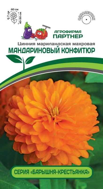 Партнер Цинния МАНДАРИНОВЫЙ КОНФИТЮР / мариландская махровая ^(5шт) , изображение 0