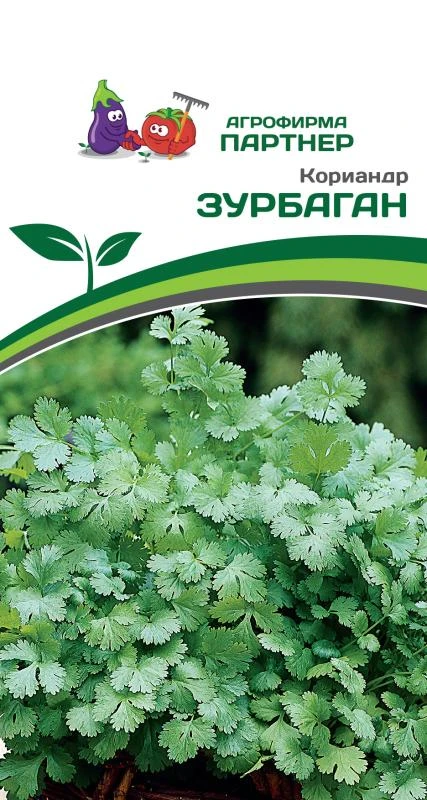 Партнер Кориандр ЗУРБАГАН ^(3г)